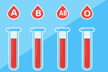 Blood Type Diet: What to Eat & Avoid According to Your Blood Type?