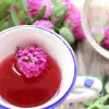 How To Use Red Clover: Boost Immunity, Combat Osteoporosis, and Improve Heart Health