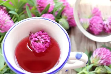 How To Use Red Clover: Boost Immunity, Combat Osteoporosis, and Improve Heart Health