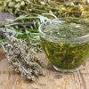 Wormwood: The Super Herb for Parasite Infections and Gut Health