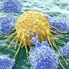 Vitamin K Precursor Targets and Destroys Cancer Cells in New Study
