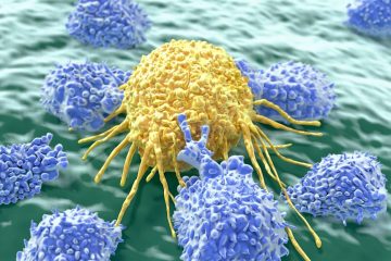 Vitamin K Precursor Targets and Destroys Cancer Cells in New Study